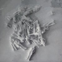 Naturalezas casi vivas IV